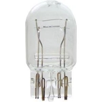 Order Tail Light by WAGNER - BP7443 For Your Vehicle