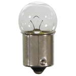 Order Tail Light by WAGNER - BP89 For Your Vehicle