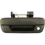 Order Tailgate Handle by ACI/MAXAIR - 360222 For Your Vehicle