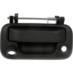 Order DORMAN - 81076 - Tailgate Handle For Your Vehicle