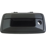 Order DORMAN - 82544 - Tailgate Handle With Keyhole And Camera Hole For Your Vehicle