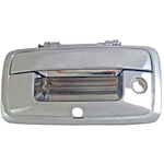 Order DORMAN - 82549 - Tailgate Handle With Keyhole And Camera Hole For Your Vehicle