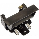 Order Tailgate Handle by DORMAN/HELP - 80592CD For Your Vehicle