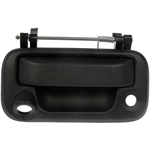 Order DORMAN/HELP - 81076 - Tailgate Handle For Your Vehicle