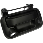 Order Tailgate Handle by DORMAN/HELP - 81078 For Your Vehicle