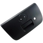 Order DORMAN/HELP - 81575 - Tailgate Handle For Your Vehicle