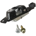 Order SKP - SK38667D - Tailgate Latch For Your Vehicle