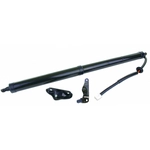 Order STABILUS - 2Q587509 - Lift Support For Your Vehicle