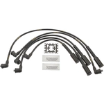 Order Tailored Resistor Ignition Wire Set by BLUE STREAK (HYGRADE MOTOR) - 10061 For Your Vehicle