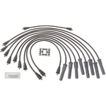 Order Tailored Resistor Ignition Wire Set by BLUE STREAK (HYGRADE MOTOR) - 10117 For Your Vehicle