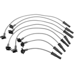 Order Tailored Resistor Ignition Wire Set by BLUE STREAK (HYGRADE MOTOR) - 26461 For Your Vehicle