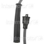 Order Tailored Resistor Ignition Wire Set by BLUE STREAK (HYGRADE MOTOR) - 26644 For Your Vehicle