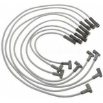 Order Tailored Resistor Ignition Wire Set by BLUE STREAK (HYGRADE MOTOR) - 26838 For Your Vehicle