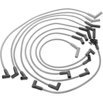 Order Tailored Resistor Ignition Wire Set by BLUE STREAK (HYGRADE MOTOR) - 26902 For Your Vehicle