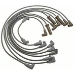 Order Tailored Resistor Ignition Wire Set by BLUE STREAK (HYGRADE MOTOR) - 27850 For Your Vehicle