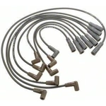 Order Tailored Resistor Ignition Wire Set by BLUE STREAK (HYGRADE MOTOR) - 27859 For Your Vehicle