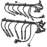 Order BLUE STREAK (HYGRADE MOTOR) - 29906 - Spark Plug Wire Set For Your Vehicle