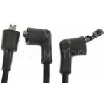 Order Tailored Resistor Ignition Wire Set by BLUE STREAK (HYGRADE MOTOR) - 55419 For Your Vehicle