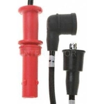 Order Tailored Resistor Ignition Wire Set by BLUE STREAK (HYGRADE MOTOR) - 55506 For Your Vehicle