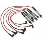 Order Tailored Resistor Ignition Wire Set by BLUE STREAK (HYGRADE MOTOR) - 55606 For Your Vehicle