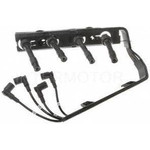 Order Tailored Resistor Ignition Wire Set by BLUE STREAK (HYGRADE MOTOR) - 55702 For Your Vehicle