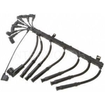 Order Tailored Resistor Ignition Wire Set by BLUE STREAK (HYGRADE MOTOR) - 55715 For Your Vehicle