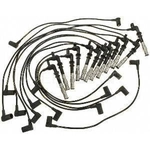 Order Tailored Resistor Ignition Wire Set by BLUE STREAK (HYGRADE MOTOR) - 55776 For Your Vehicle