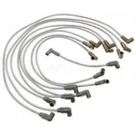 Order Tailored Resistor Ignition Wire Set by BLUE STREAK (HYGRADE MOTOR) - 6889 For Your Vehicle