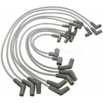 Order Tailored Resistor Ignition Wire Set by BLUE STREAK (HYGRADE MOTOR) - 6898 For Your Vehicle
