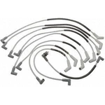 Order Tailored Resistor Ignition Wire Set by BLUE STREAK (HYGRADE MOTOR) - 6902 For Your Vehicle