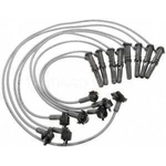 Order Tailored Resistor Ignition Wire Set by BLUE STREAK (HYGRADE MOTOR) - 6916 For Your Vehicle
