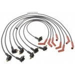 Order Tailored Resistor Ignition Wire Set by BLUE STREAK (HYGRADE MOTOR) - 6925 For Your Vehicle