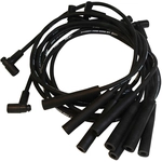 Order Tailored Resistor Ignition Wire Set by MSD IGNITION - 5560 For Your Vehicle