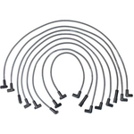 Order Tailored Resistor Ignition Wire Set by WALKER PRODUCTS - 924-1395 For Your Vehicle