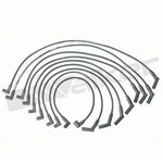 Order Tailored Resistor Ignition Wire Set by WALKER PRODUCTS - 924-1397 For Your Vehicle