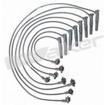 Order Tailored Resistor Ignition Wire Set by WALKER PRODUCTS - 924-1401 For Your Vehicle
