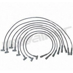 Order Tailored Resistor Ignition Wire Set by WALKER PRODUCTS - 924-1414 For Your Vehicle