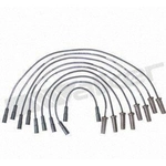 Order Tailored Resistor Ignition Wire Set by WALKER PRODUCTS - 924-1437 For Your Vehicle