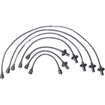 Order Tailored Resistor Ignition Wire Set by WALKER PRODUCTS - 924-1481 For Your Vehicle