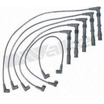 Order Tailored Resistor Ignition Wire Set by WALKER PRODUCTS - 924-1488 For Your Vehicle