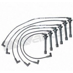 Order Tailored Resistor Ignition Wire Set by WALKER PRODUCTS - 924-1637 For Your Vehicle