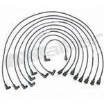 Order Tailored Resistor Ignition Wire Set by WALKER PRODUCTS - 924-1824 For Your Vehicle