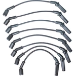 Order Tailored Resistor Ignition Wire Set by WALKER PRODUCTS - 924-1828 For Your Vehicle