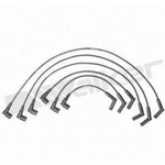 Order Tailored Resistor Ignition Wire Set by WALKER PRODUCTS - 924-2001 For Your Vehicle