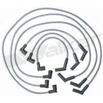 Order Tailored Resistor Ignition Wire Set by WALKER PRODUCTS - 924-2023 For Your Vehicle