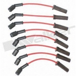 Order Tailored Resistor Ignition Wire Set by WALKER PRODUCTS - 924-2051 For Your Vehicle