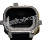 Order Temperature Sensor by WALKER PRODUCTS - 214-1013 For Your Vehicle