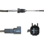 Order Temperature Sensor by WALKER PRODUCTS - 273-10385 For Your Vehicle