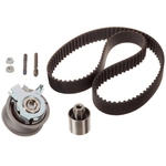 Order INA - 530-0201-100 - Engine Timing Belt Tensioner Kit For Your Vehicle