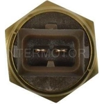 Order Thermo Time Switch by BLUE STREAK (HYGRADE MOTOR) - TS665 For Your Vehicle